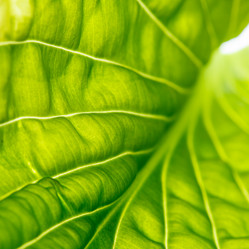 Similar image 2925232