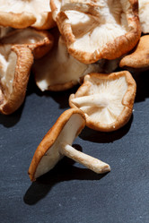 Similar image 2925233