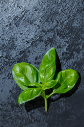 Similar image 2925234