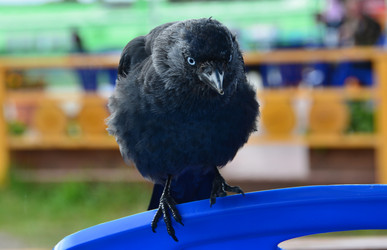 Similar image 2925247