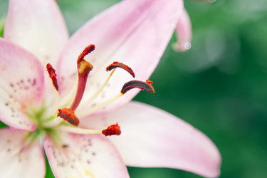 Similar image 2926001