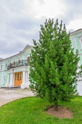 Similar image 2926328