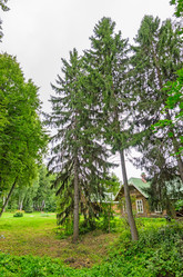 Similar image 2926339