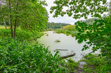 Similar image 2926370