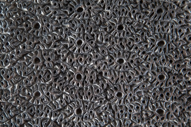 Similar image 2926426