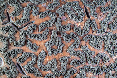 Similar image 2926427