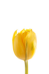 Similar image 2926497