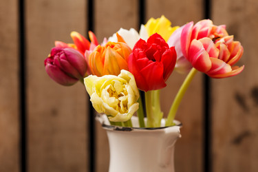 Similar image 2926502