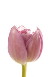 Similar image 2926506