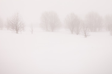 Similar image 2926516