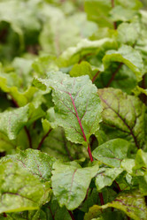 Similar image 2926538