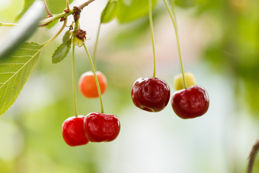 Similar image 2926539