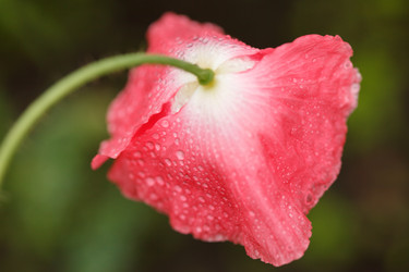 Similar image 2926542