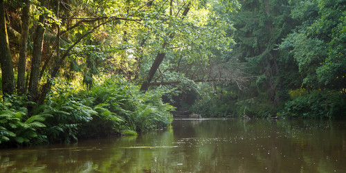 Similar image 2926549