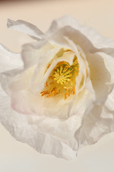 Similar image 2926565