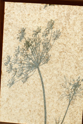 Similar image 2926571