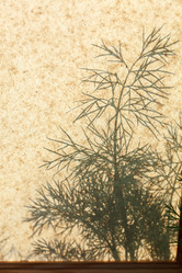 Similar image 2926573