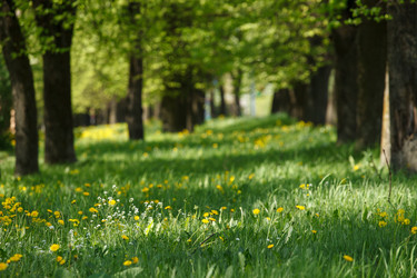 Similar image 2926580