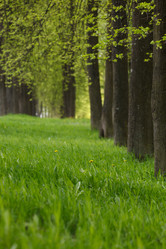 Similar image 2926581