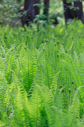 Similar image 2926583