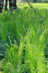 Similar image 2926584