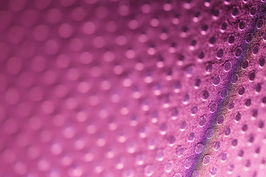 Similar image 2926594