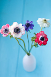 Similar image 2926616