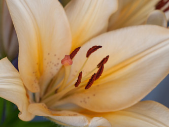 Similar image 2926636