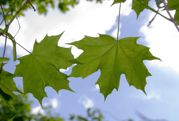 Similar image 2926653