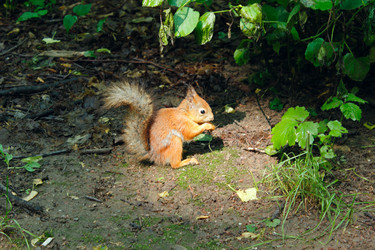 Similar image 2926671