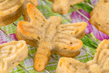 Similar image 2926684