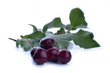 Similar image 2927018