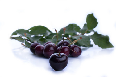 Similar image 2927019