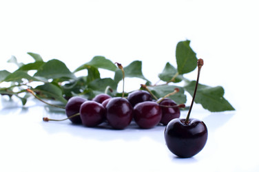 Similar image 2927020