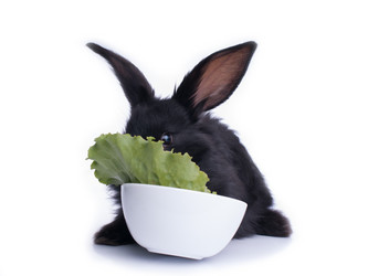 Similar image 2927026