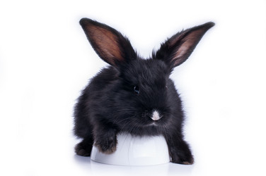 Similar image 2927034