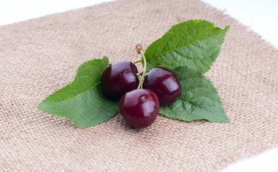 Similar image 2927035