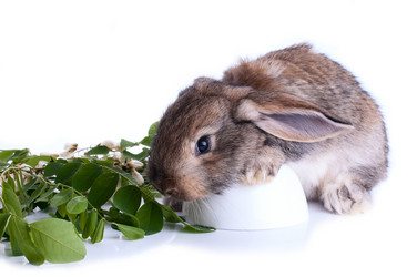 Similar image 2927038