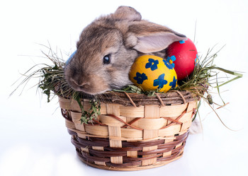 Similar image 2927045