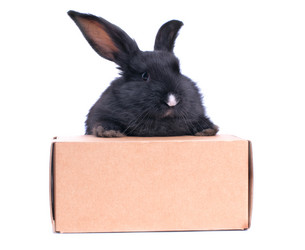 Similar image 2927073