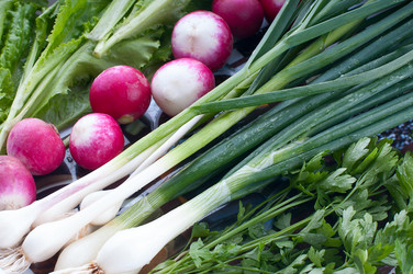 Similar image 2927075