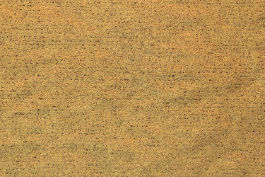 Similar image 2927272