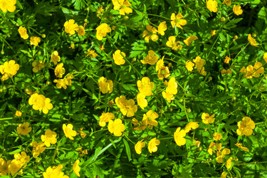 Similar image 2927314