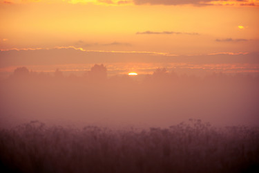 Similar image 2927387