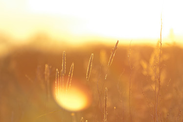 Similar image 2927392