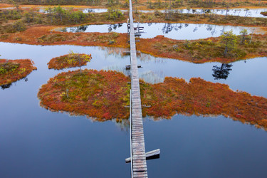 Similar image 2927410