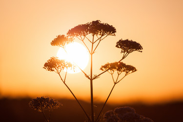 Similar image 2927422