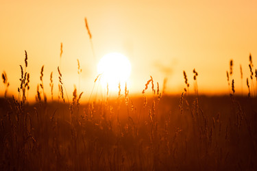 Similar image 2927423