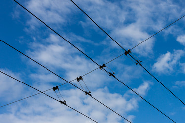 Similar image 2927434