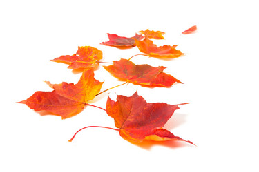 Similar image 2927438